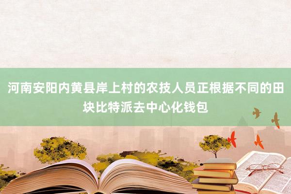 河南安阳内黄县岸上村的农技人员正根据不同的田块比特派去中心化钱包