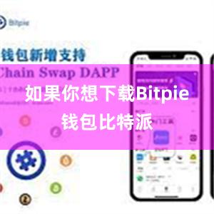 如果你想下载Bitpie钱包比特派